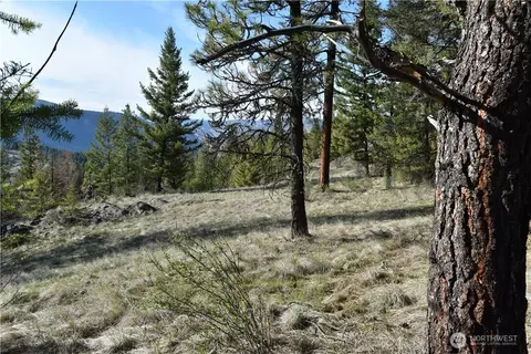 70 Excelsior Way, Curlew, WA 99166