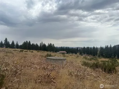 10 Landers Rd, Malott, WA 98829 photo 11