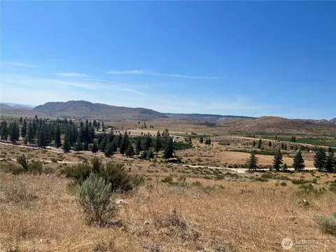 10 Landers Rd, Malott, WA 98829 photo 36