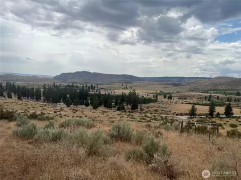 10 Landers Rd, Malott, WA 98829 photo 29