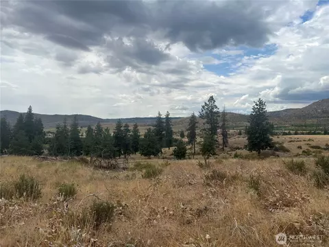 10 Landers Rd, Malott, WA 98829 photo 13