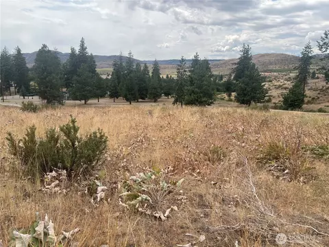 10 Landers Rd, Malott, WA 98829 photo 3