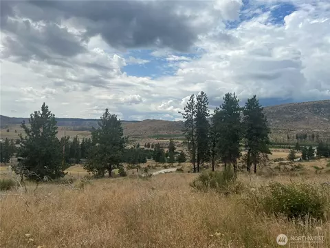 10 Landers Rd, Malott, WA 98829 photo 22
