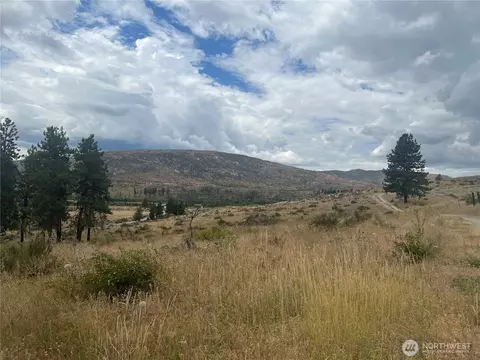 10 Landers Rd, Malott, WA 98829 photo 27