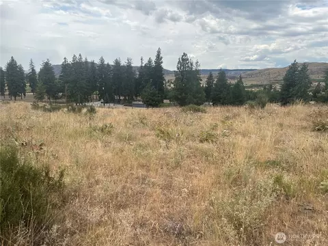 10 Landers Rd, Malott, WA 98829 photo 7