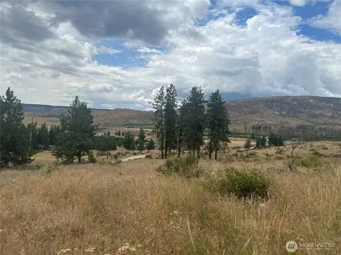 10 Landers Rd, Malott, WA 98829 photo 26
