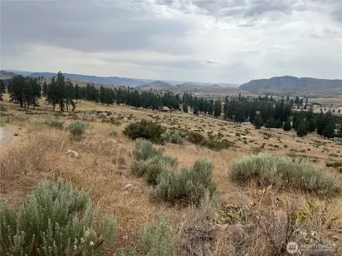 10 Landers Rd, Malott, WA 98829 photo 32