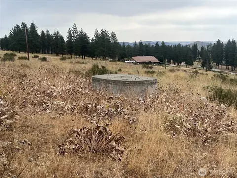 10 Landers Rd, Malott, WA 98829 photo 14