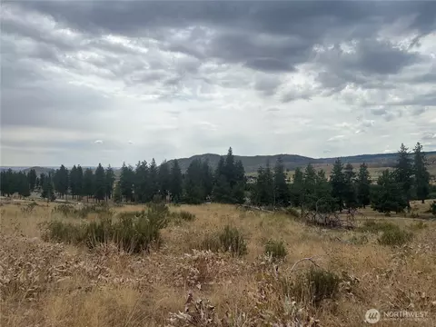 10 Landers Rd, Malott, WA 98829 photo 12