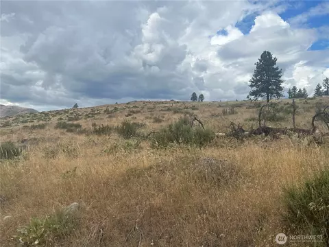 10 Landers Rd, Malott, WA 98829 photo 20
