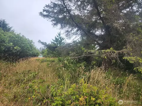 442 Canal Dr NE, Ocean Shores, WA 98569