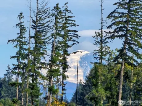 Other - 343 Hawkins Rd, Winlock, WA 98596 photo 7 of 7