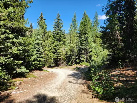 0 Nn East Fork Cougar Creek Rd, Wauconda, WA 98859