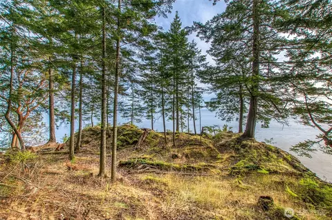 2760 Raccoon Point Rd, Orcas Island, WA 98245 photo 13