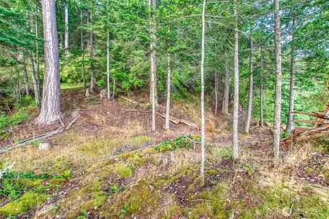 2760 Raccoon Point Rd, Orcas Island, WA 98245 photo 18