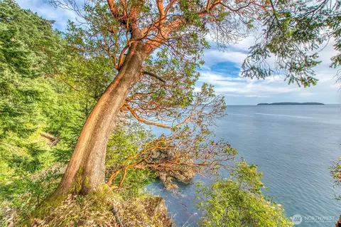 2760 Raccoon Point Rd, Orcas Island, WA 98245 photo 14
