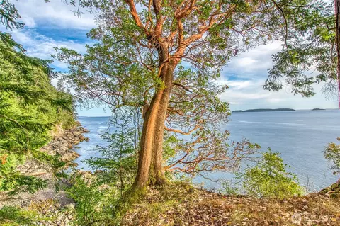 2760 Raccoon Point Rd, Orcas Island, WA 98245 photo 2