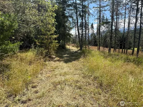 352 X Lost Mountain Rd, Sequim, WA 98382 photo 22