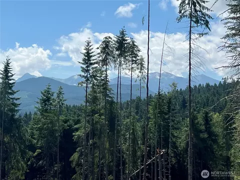 352 X Lost Mountain Rd, Sequim, WA 98382 photo 29