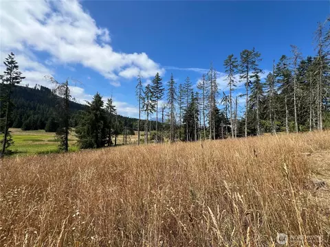 352 X Lost Mountain Rd, Sequim, WA 98382 photo 6