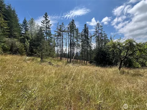 352 X Lost Mountain Rd, Sequim, WA 98382 photo 25