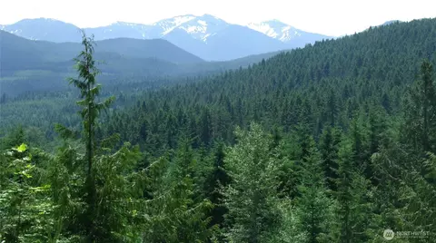352 X Lost Mountain Rd, Sequim, WA 98382 photo 10