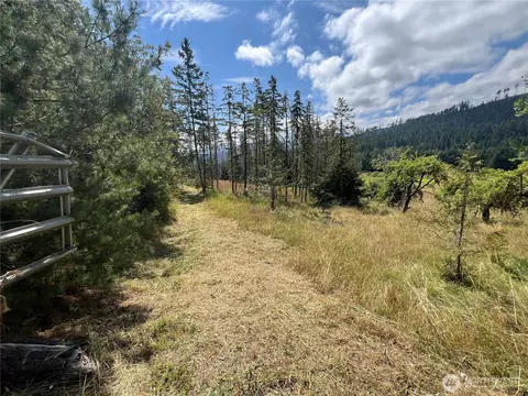 352 X Lost Mountain Rd, Sequim, WA 98382 photo 2