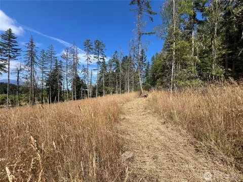 352 X Lost Mountain Rd, Sequim, WA 98382 photo 23