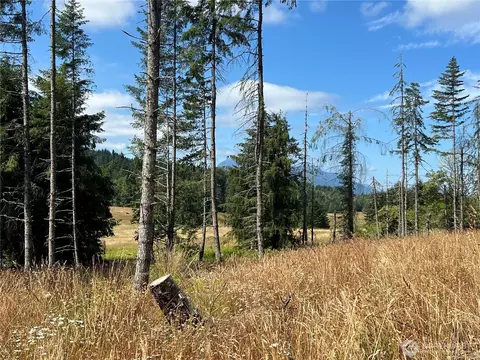 352 X Lost Mountain Rd, Sequim, WA 98382 photo 27