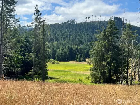 352 X Lost Mountain Rd, Sequim, WA 98382 photo 3