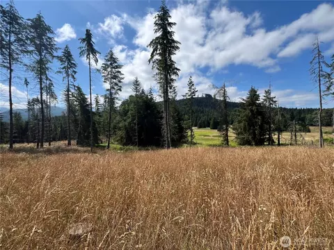 352 X Lost Mountain Rd, Sequim, WA 98382 photo 7