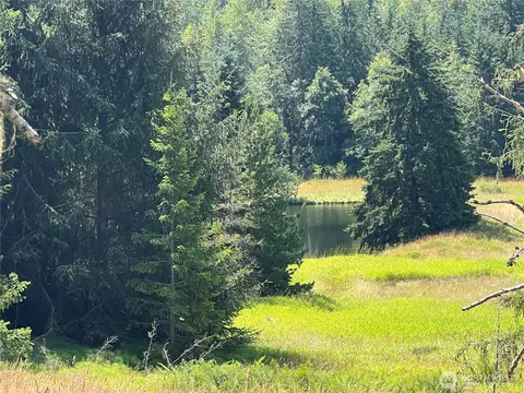 352 X Lost Mountain Rd, Sequim, WA 98382 photo 4