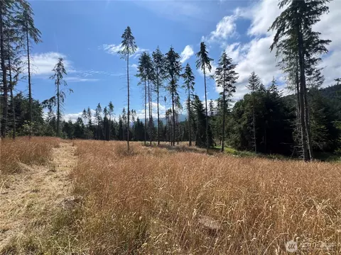 352 X Lost Mountain Rd, Sequim, WA 98382 photo 24