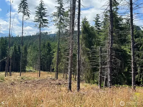 352 X Lost Mountain Rd, Sequim, WA 98382 photo 26