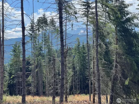 352 X Lost Mountain Rd, Sequim, WA 98382 photo 28