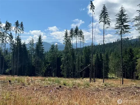 352 X Lost Mountain Rd, Sequim, WA 98382 photo 8