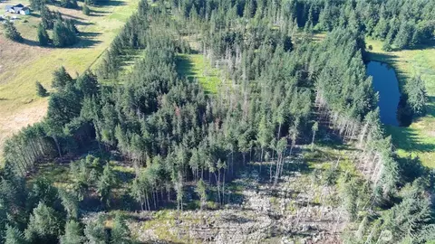 352 X Lost Mountain Rd, Sequim, WA 98382 photo 20