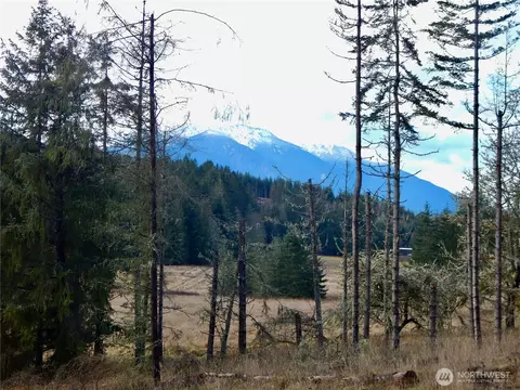 352 X Lost Mountain Rd, Sequim, WA 98382 photo 9