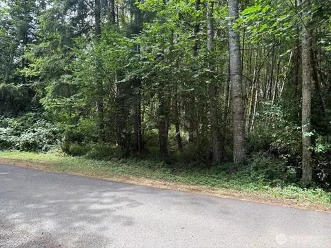 0 Harmony Ln, Mossyrock, WA 98564