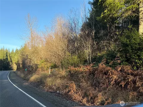 2 E Lot E Rasor Rd, Belfair, WA 98528 photo 3