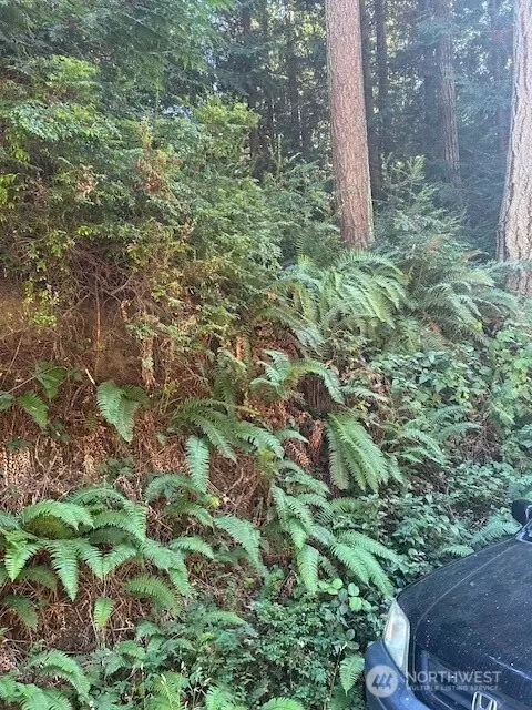 0 Nnn Sandy Point Rd, Langley, WA 98260