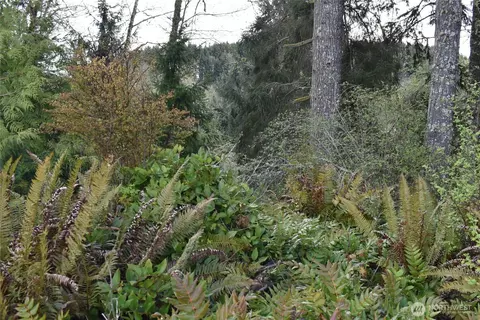 0 E Lot 14 E Twin Riv, Port Angeles, WA 98363