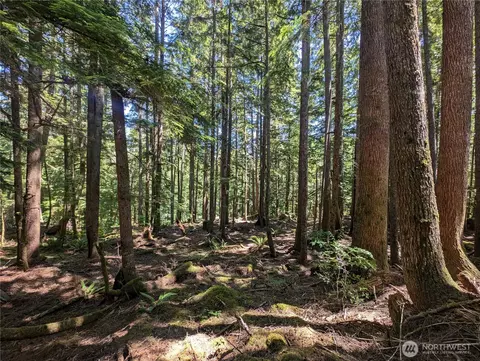 999 Kallman Rd, Forks, WA 98331