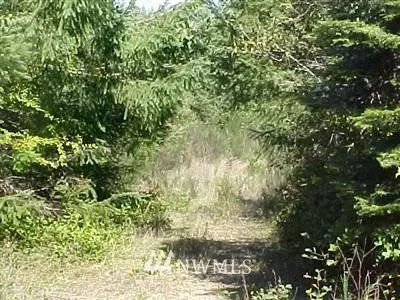 80 E Glacier Crst, Grapeview, WA 98358 photo 1