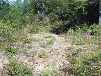 61 E Glacier Crst, Grapeview, WA 98358 photo 1
