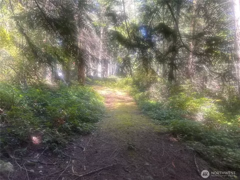 0 Nn Rocky Rd, Crane Island, WA 98243