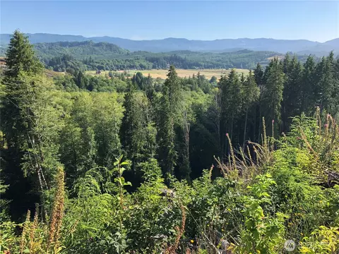 0 Lot B State Route 4 Hwy, Skamokawa, WA 98674