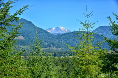 1 Skinner Rd, Randle, WA 98377