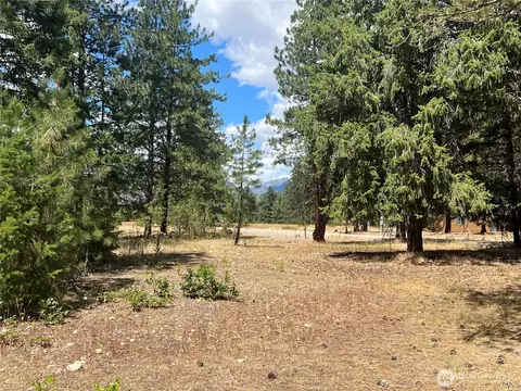 4 Mazama Meadows Ln, Mazama, WA 98833