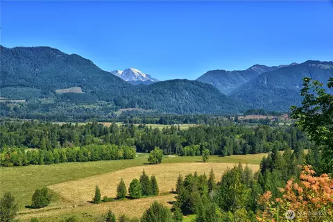 3 Skinner Rd, Randle, WA 98377